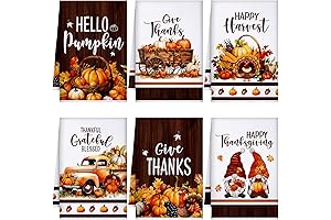 Geyoga Pumpkin Dish Towels for Thanksgiving Decor