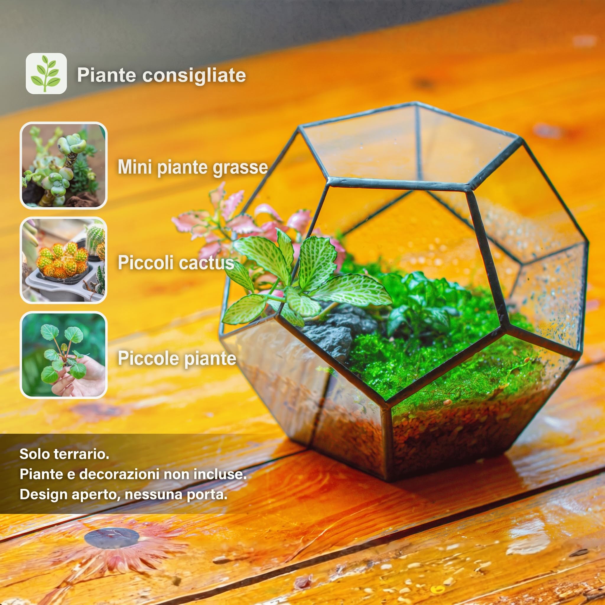 NCYP Terrario geometrico per succulente, trasparente, formato da dodici lastre pentagonali in vetro, Clear, Nero (Senza Piante, Senza Porta)
