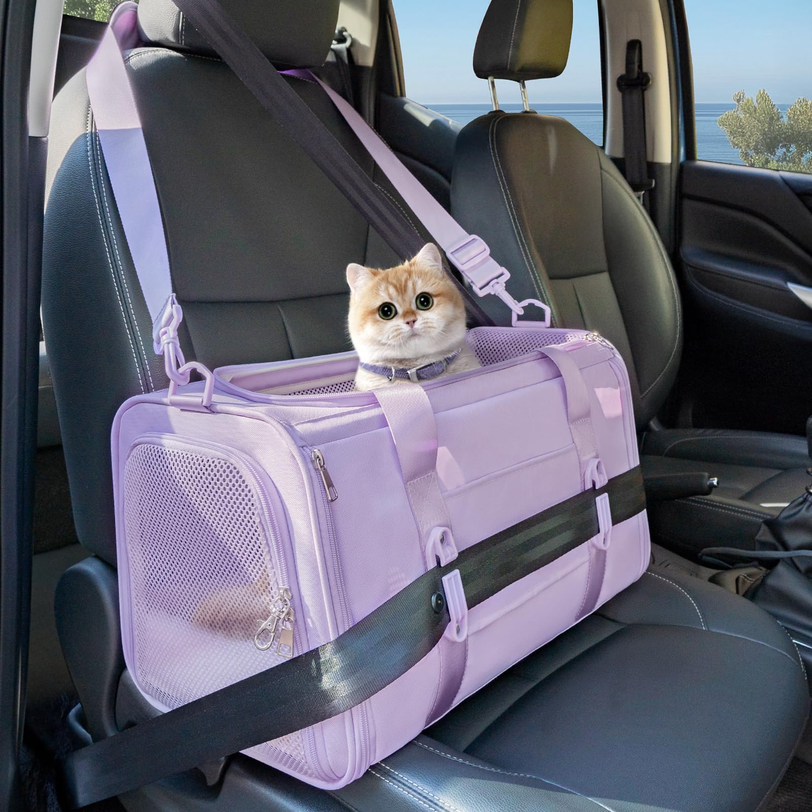PETSFIT Soft-Sided Carrier
