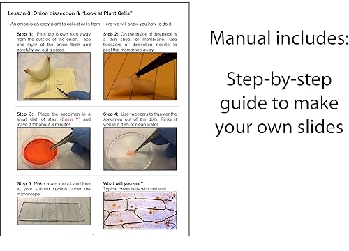 Miniatura 6 de botellas cuentagotas de 30 ml (1 oz) de azul de metileno y eosin y soluciones en ámbar vidrio (para microscopía)