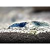 Product Photo 3