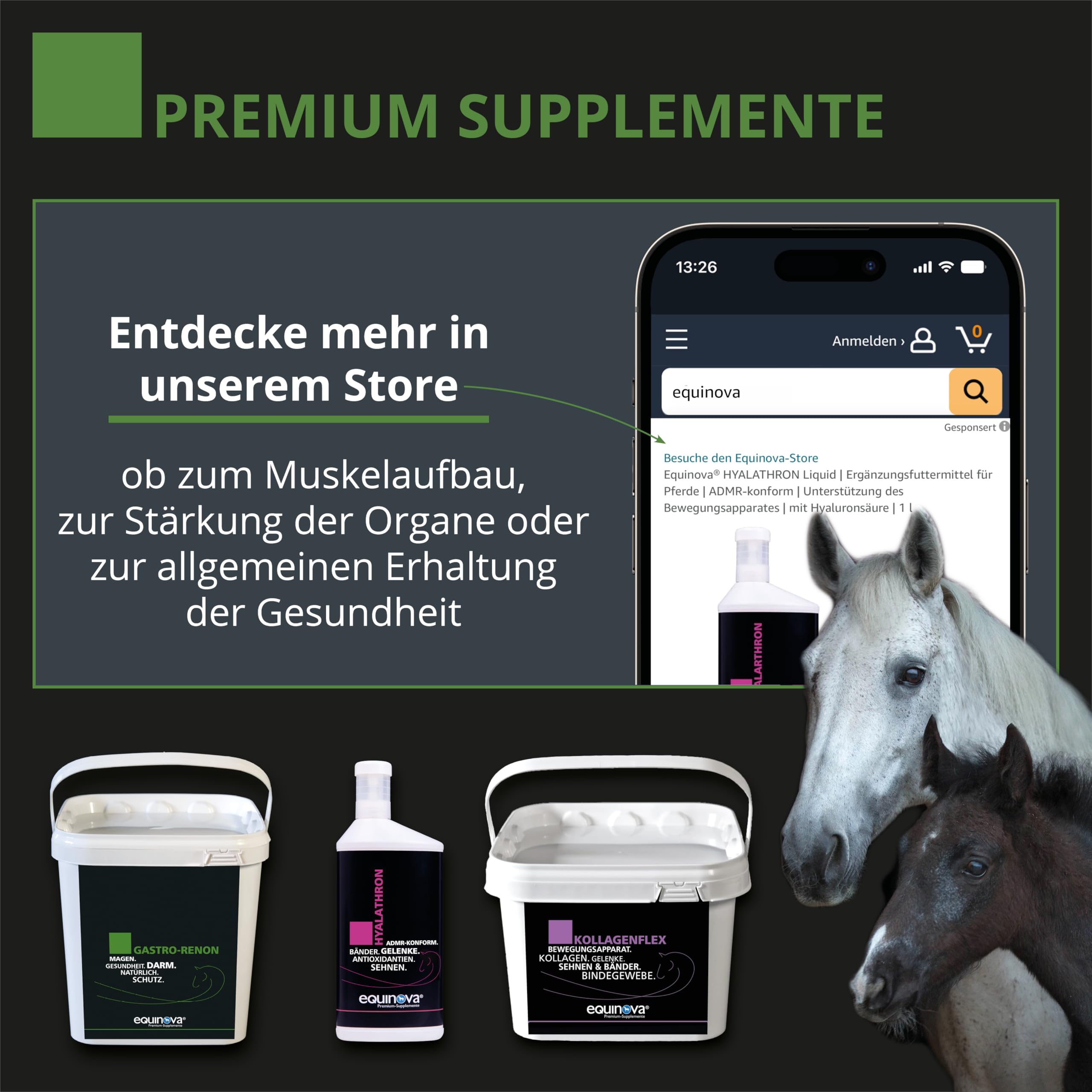Gastro RENON 3kg - für Magen- und darmempfindliche Pferde – mit Magnesium, Vitaminen, Zink – Ergänzungsfuttermittel