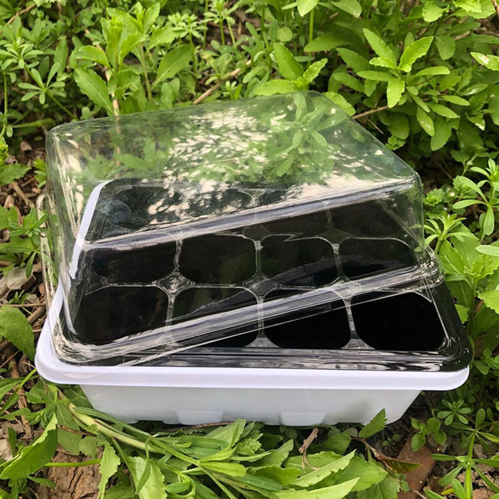 Mini Serre pour Plantes, 6 Cellules Plateau de Semis Plateau de Culture avec Couvercle, 12 Blocs de semis, Pépinière Boîte Propagateur pour Germination Graines