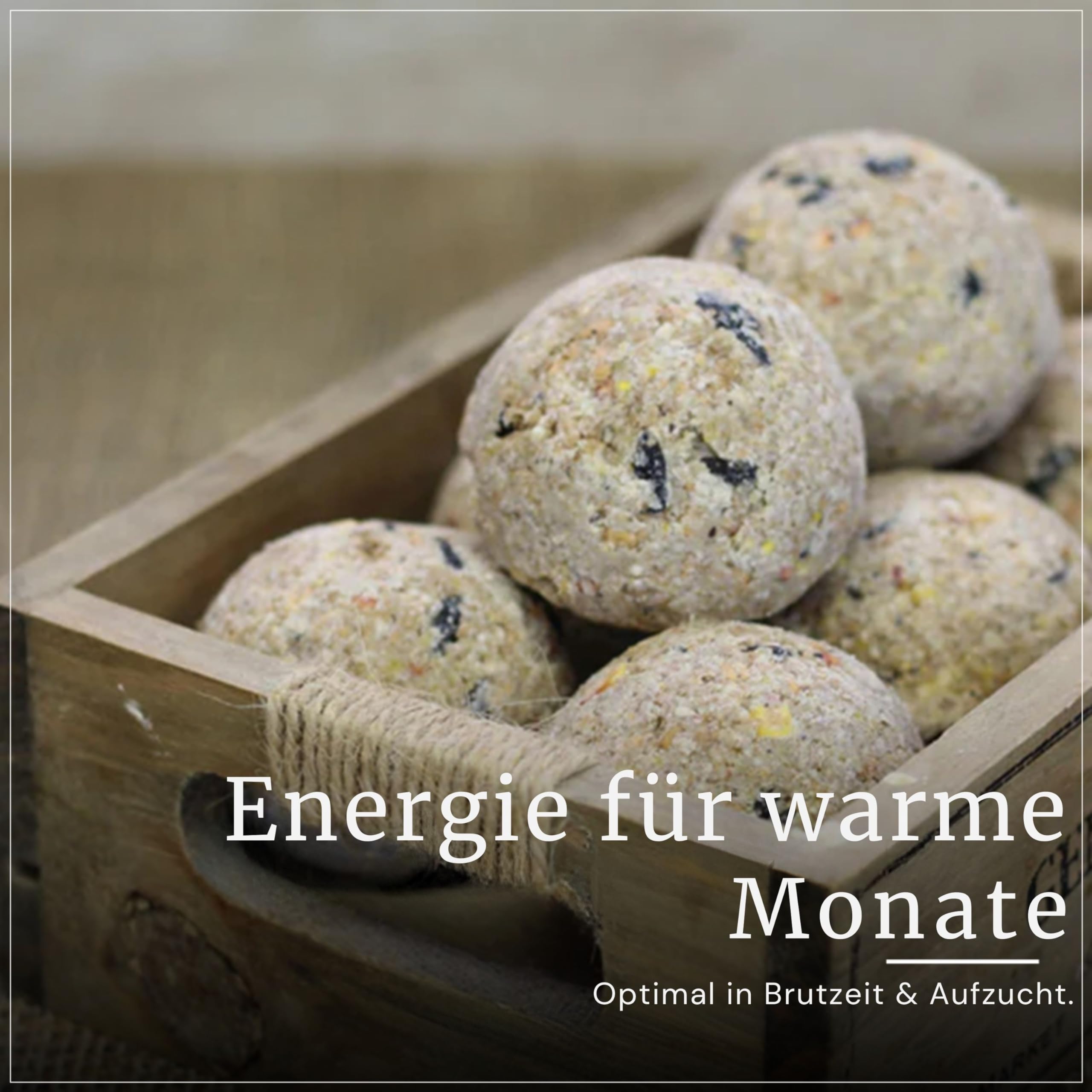 Erdtmanns Sommer-Meisenknödel XXL ohne Netz, 12 x 500 g – Riesige Wildvogelfutter-Knödel für den Sommer – Umweltfreundlich & energiereich – Ideal für Brutzeit & Jungvögel