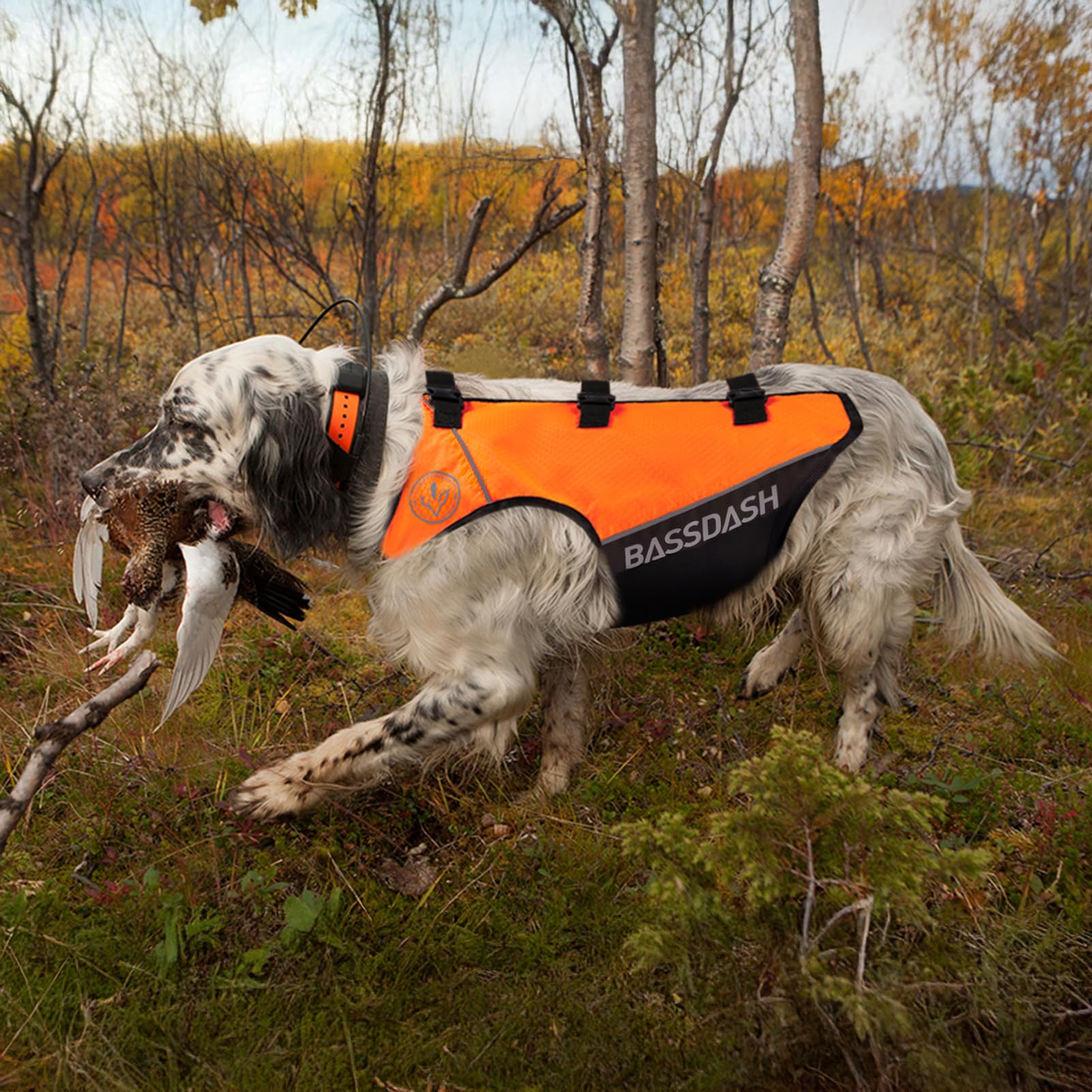 Orange Vest Dog Life Jacket Browning Hi-Vis Dog Safety Vest