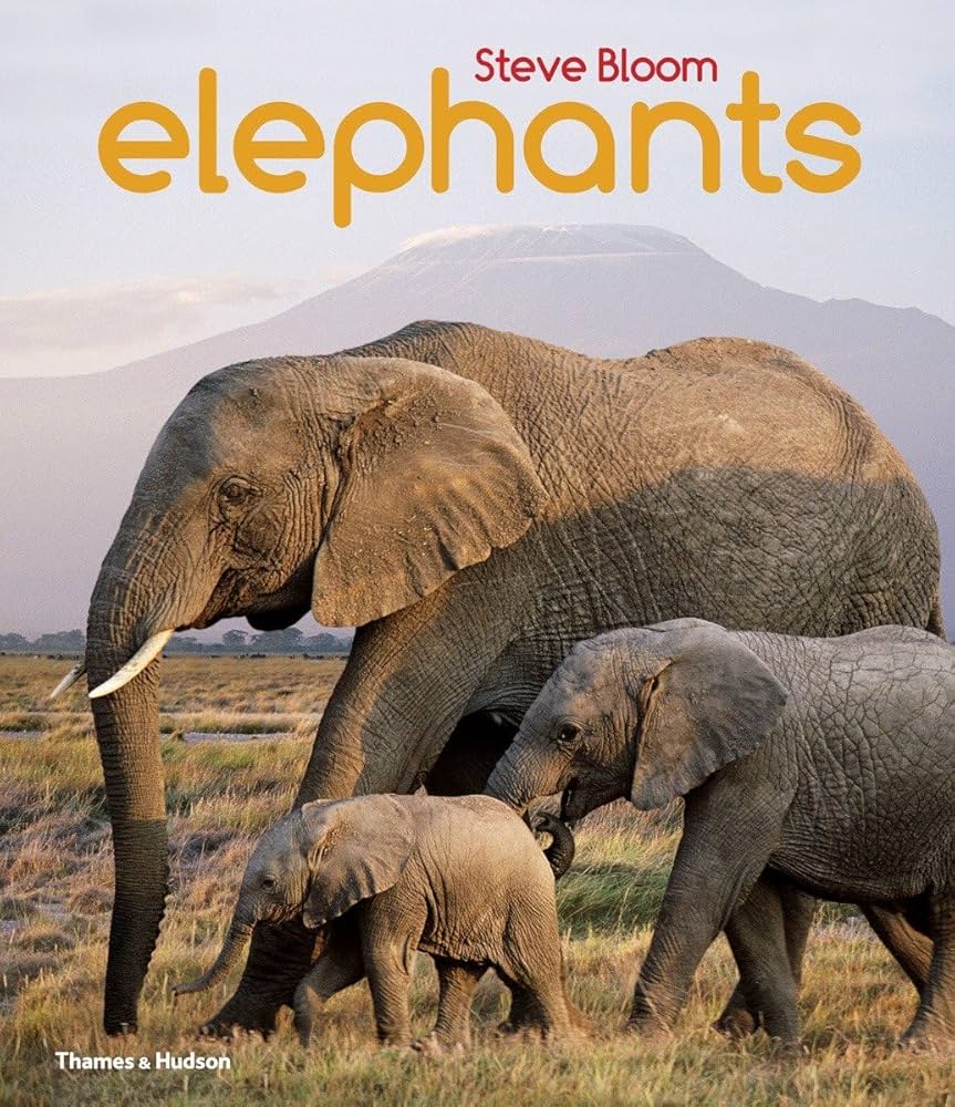 「elephant」Steve bloom Elephants: A Book for Children: Bloom, Steve: 9780500650554