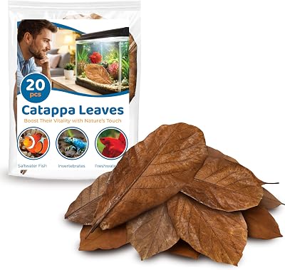 SunGrow Catappa Indian Almond Leaves