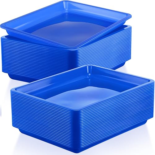 24 bandejas de plástico para actividades artísticas y bandejas de manualidades de 11 x 8.66 x 0.98 pulgadas, bandeja organizadora de servicios,