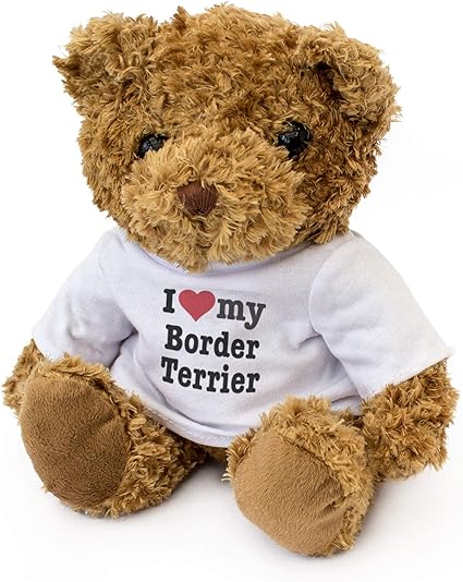 border terrier presents