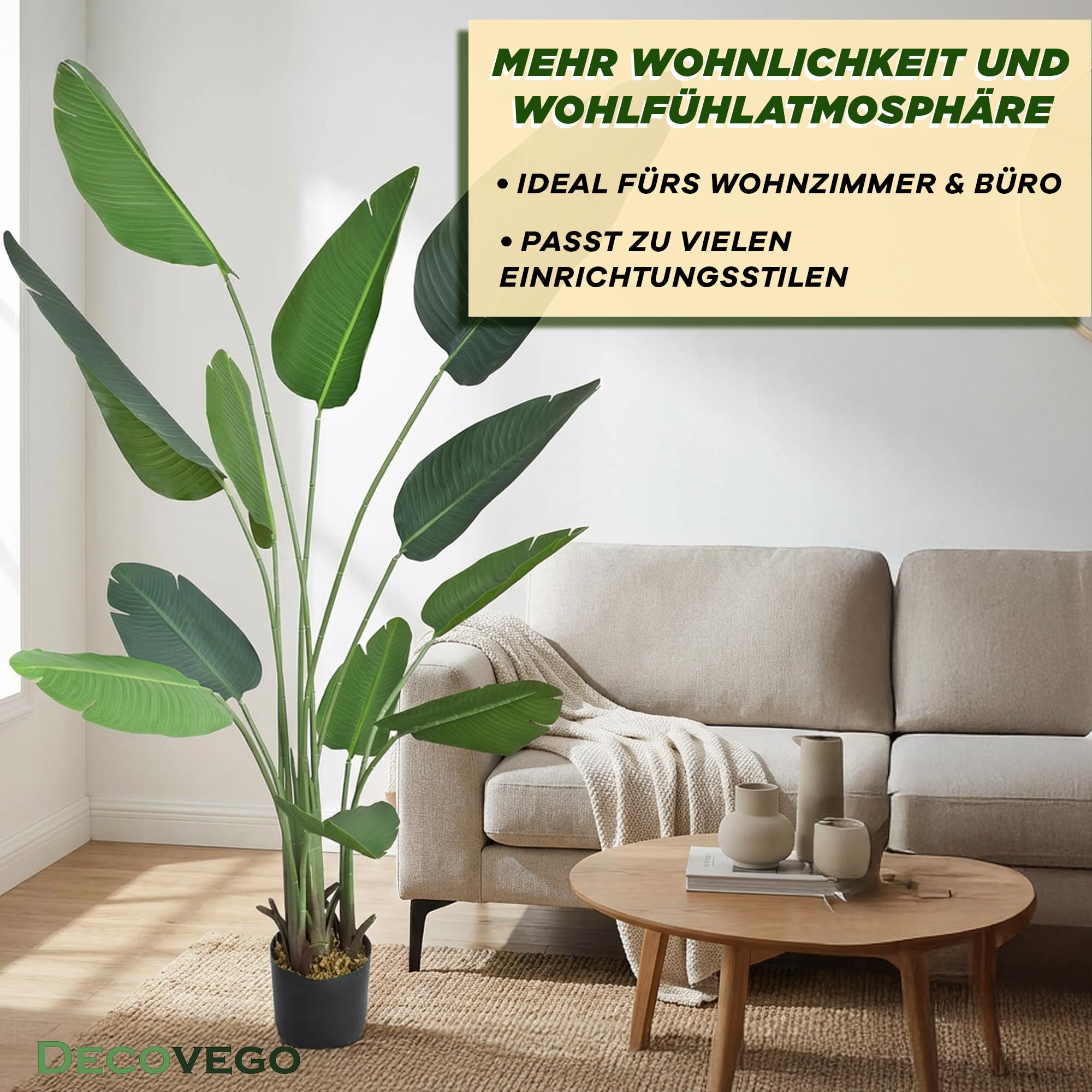 philodendron xanadu groß 6