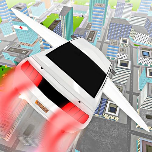 Flying Car Flight Driving