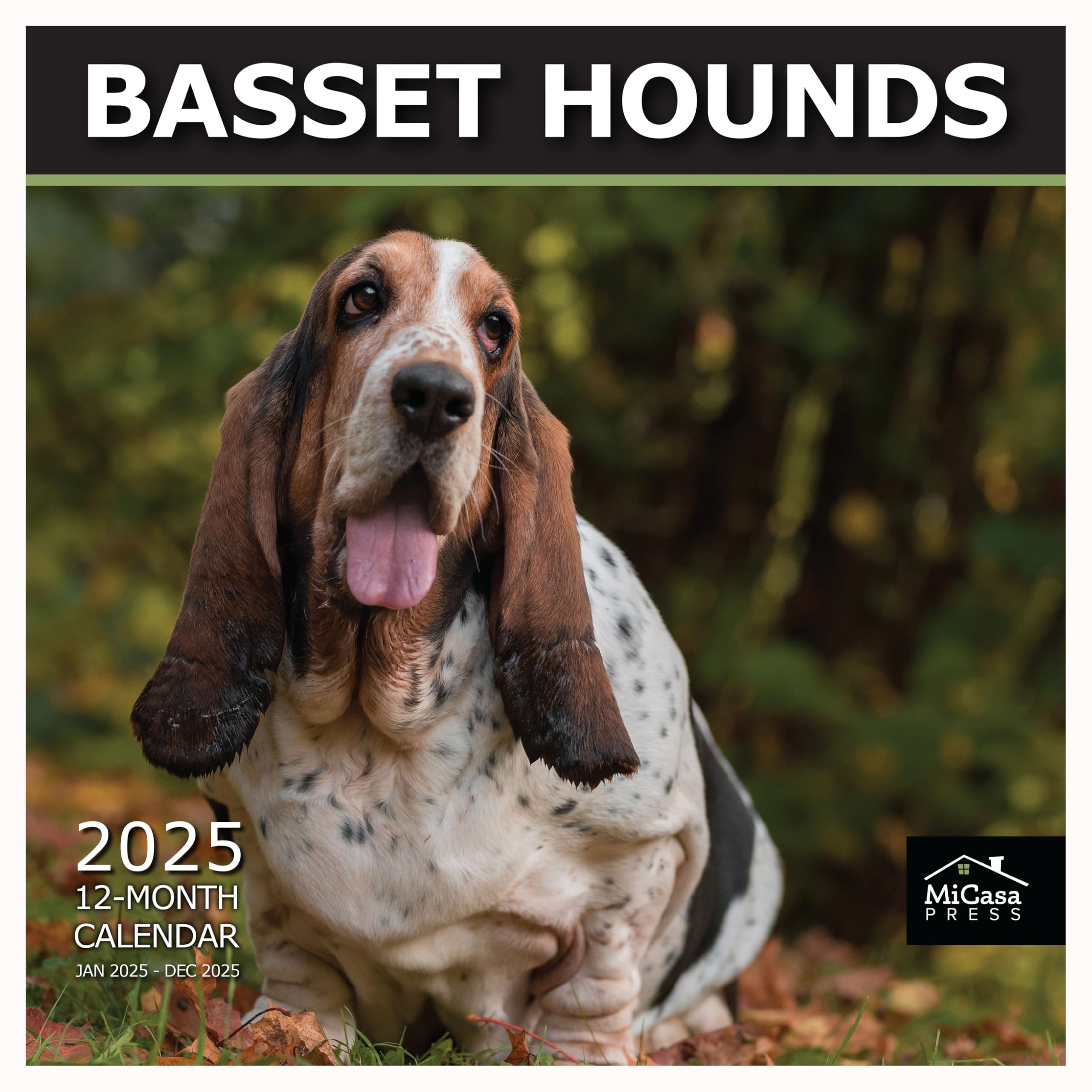 MICASA PRESS - Basset Hounds 2025 Wall Calendar 12 Month | 12" x 24" Open | Thick &amp; Sturdy Paper | Giftable | Calendar 2025