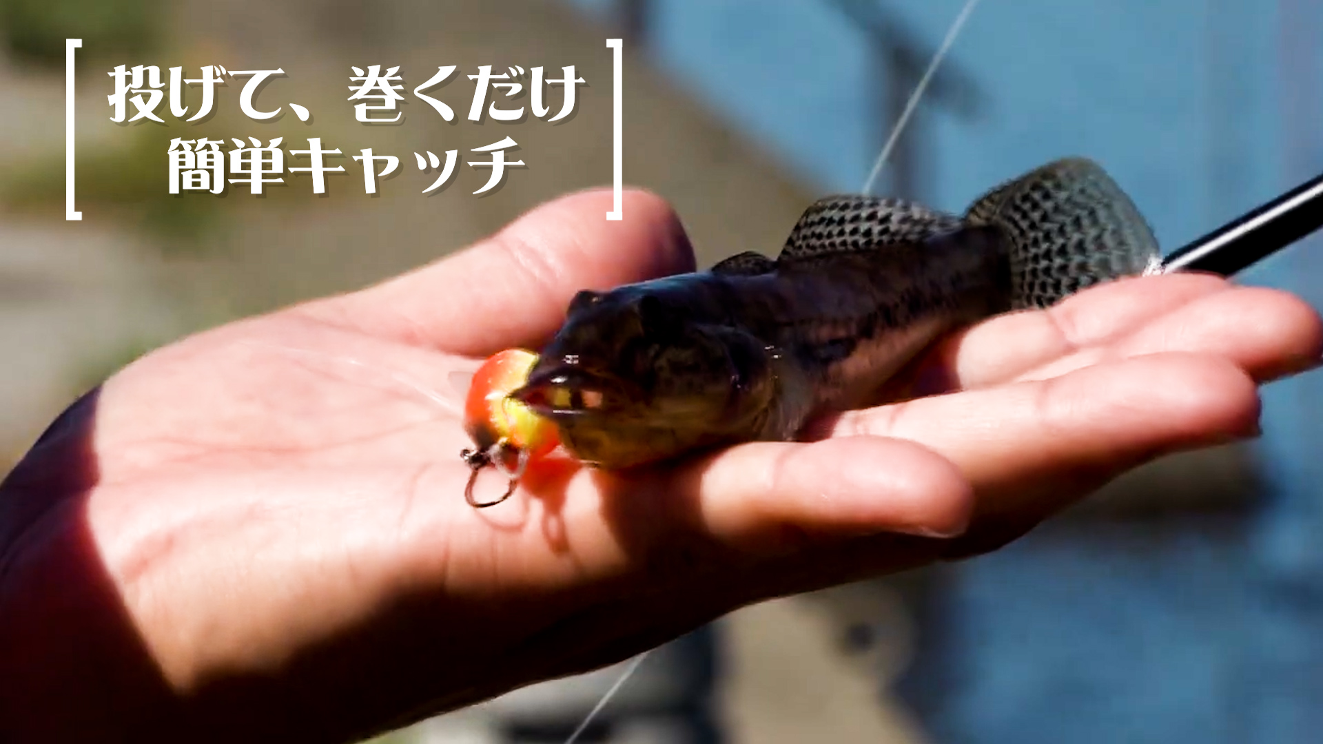 Amazon.co.jp: ラッキークラフト (LUCKY CRAFT) ディープクラピー Max
