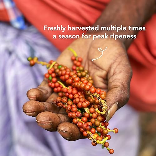 Miniatura 4 de Diaspora Co. Aranya Black Pepper  Granos de pimienta negra entera de origen único para recambio de molinillo  Fresco y cosechado a mano  Lata diaria