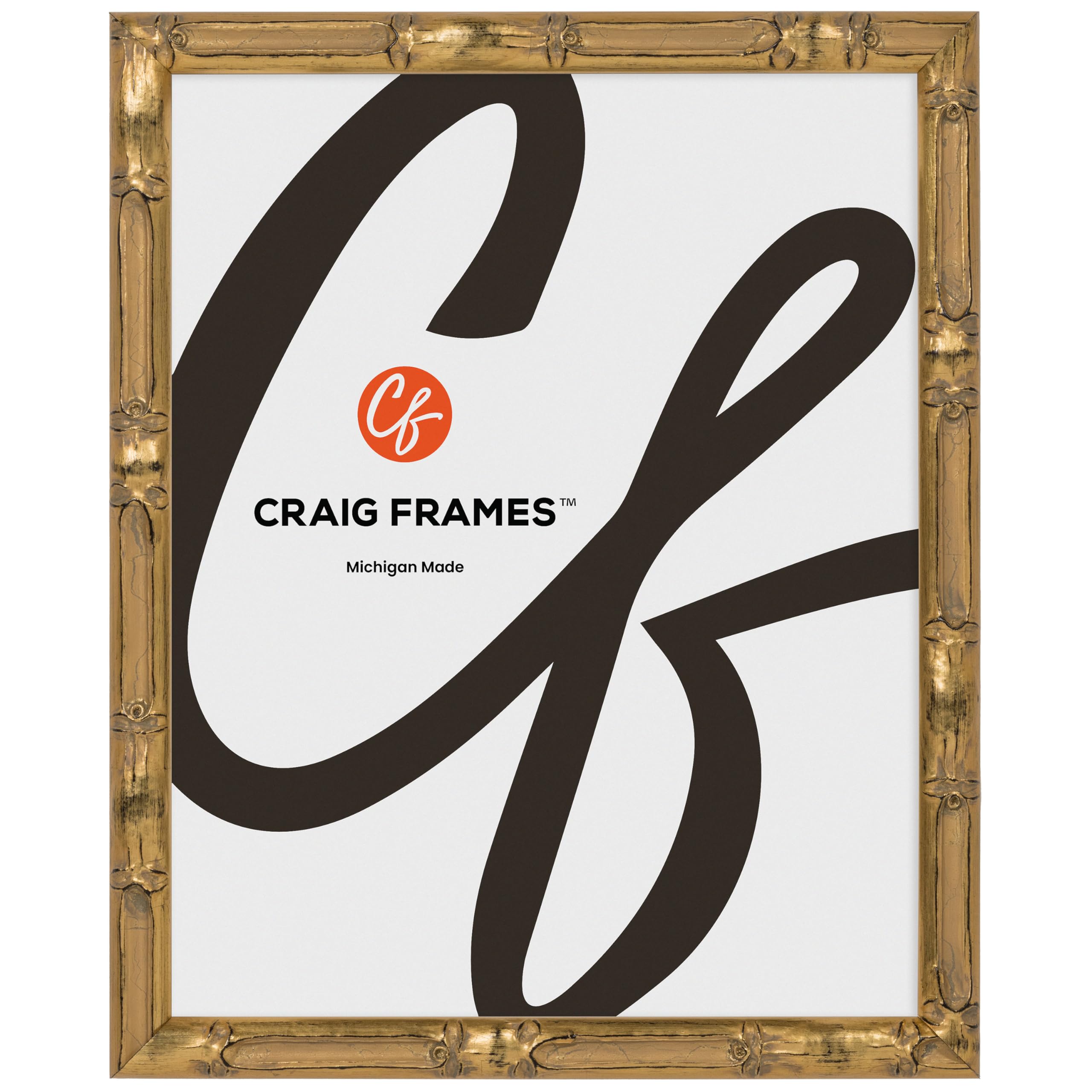 Craig Frames 16x20 Faux Bamboo Champagne Gold Picture Frame