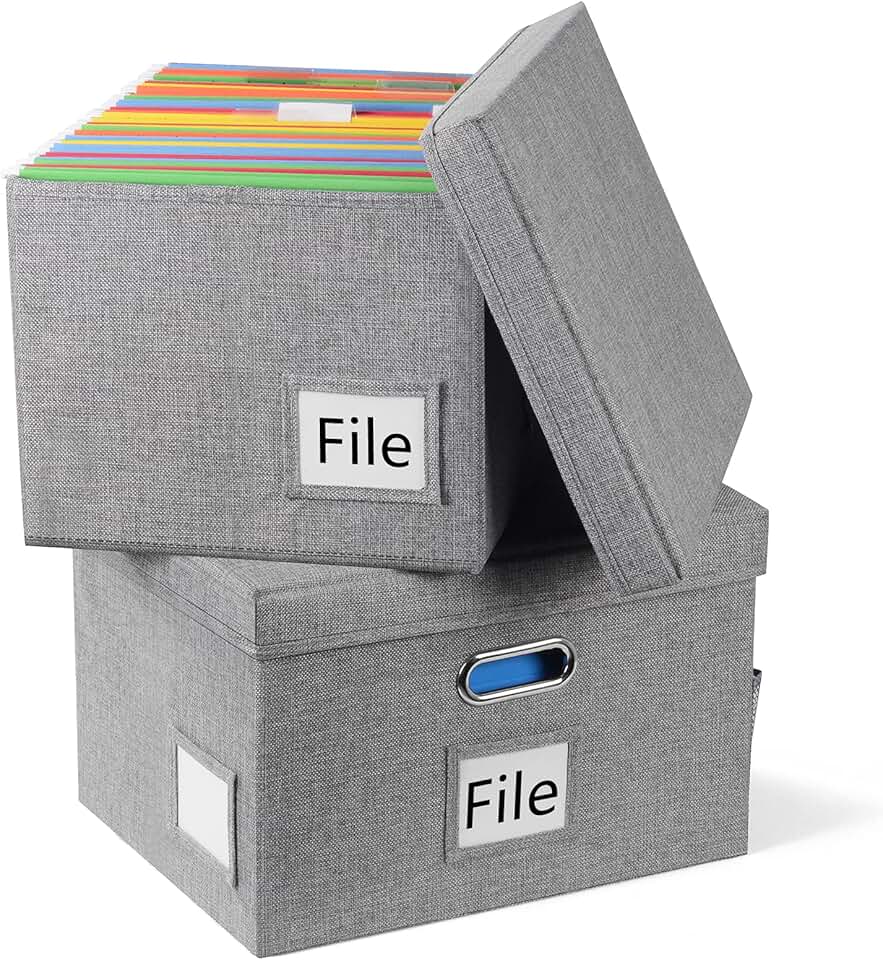 Amazon.ca filing box