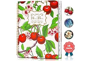 the home edit planner 2023