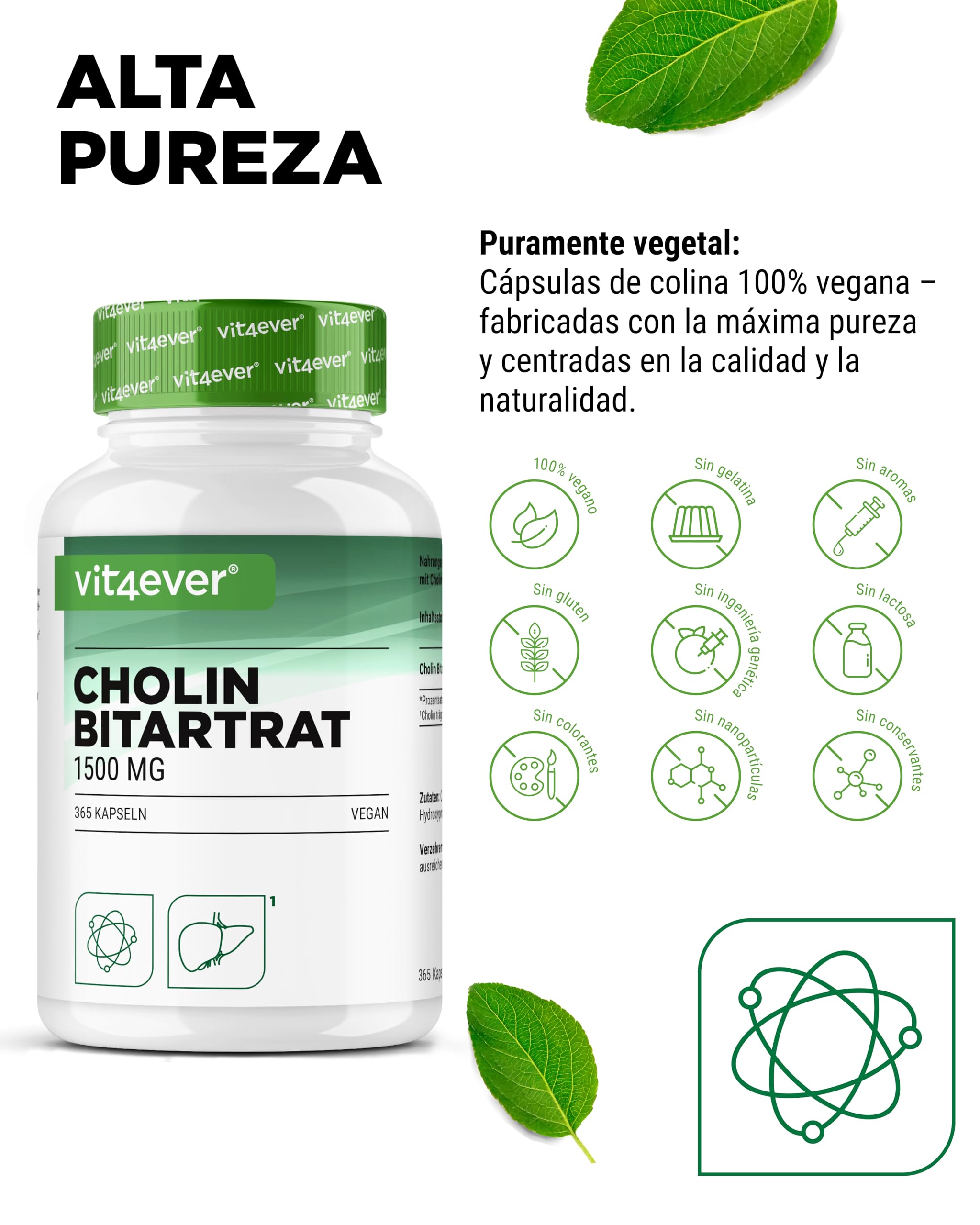 Cápsulas de colina – 365 cápsulas con 1500 mg de bitartrato de colina por dosis diaria – más de 6 meses de suministro – hígado, homocisteína y metabolismo de las grasas – natural, alta dosis, vegano