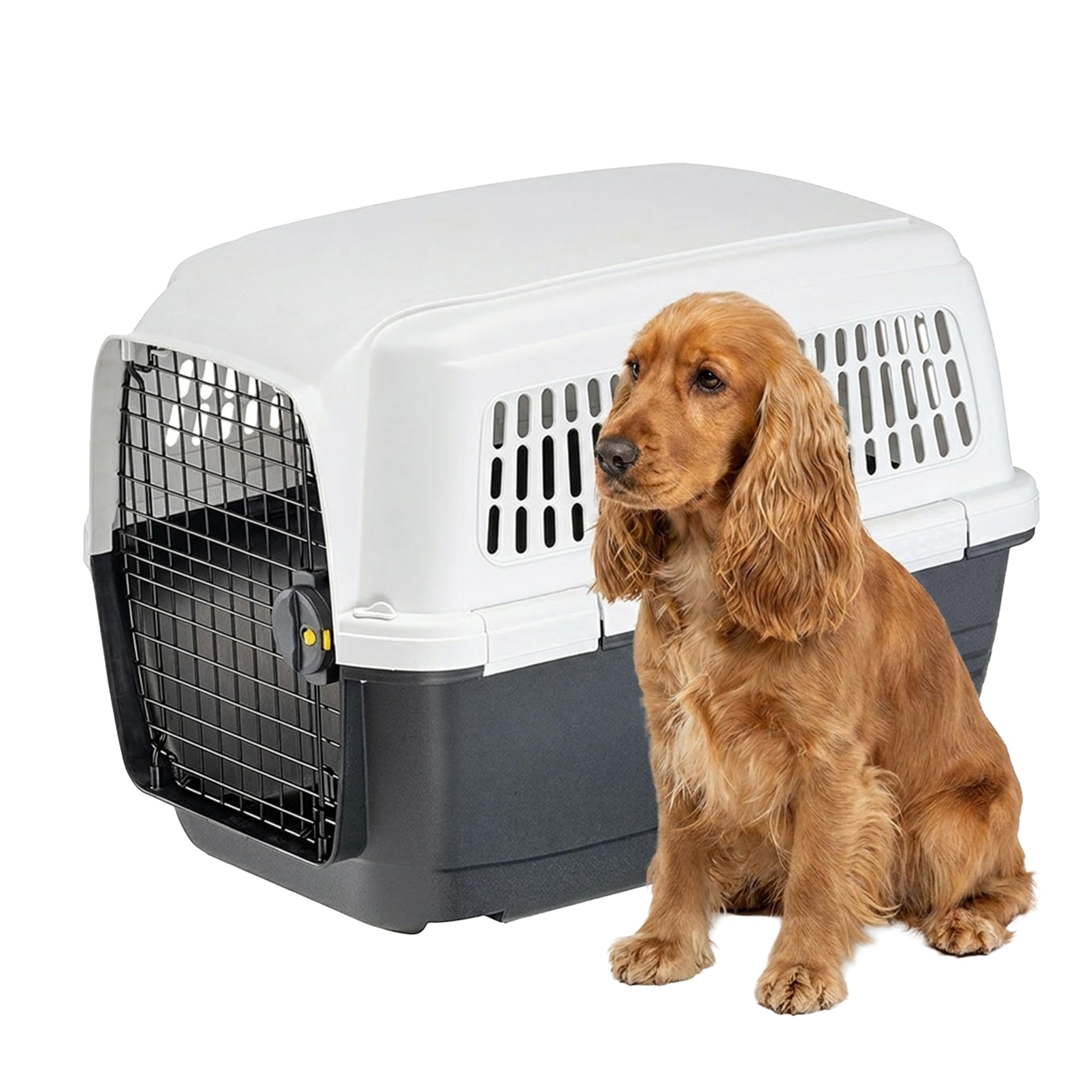 Ferplast Dog Carrier CLIPPER 4, IATA Approved Dog Travel Crate, Medium Dog Carrier max 20 Kg, Pet Carrier for Airline, Car, Train, 71 x 50 x h 51 cm, Steel Door, Secure Closure