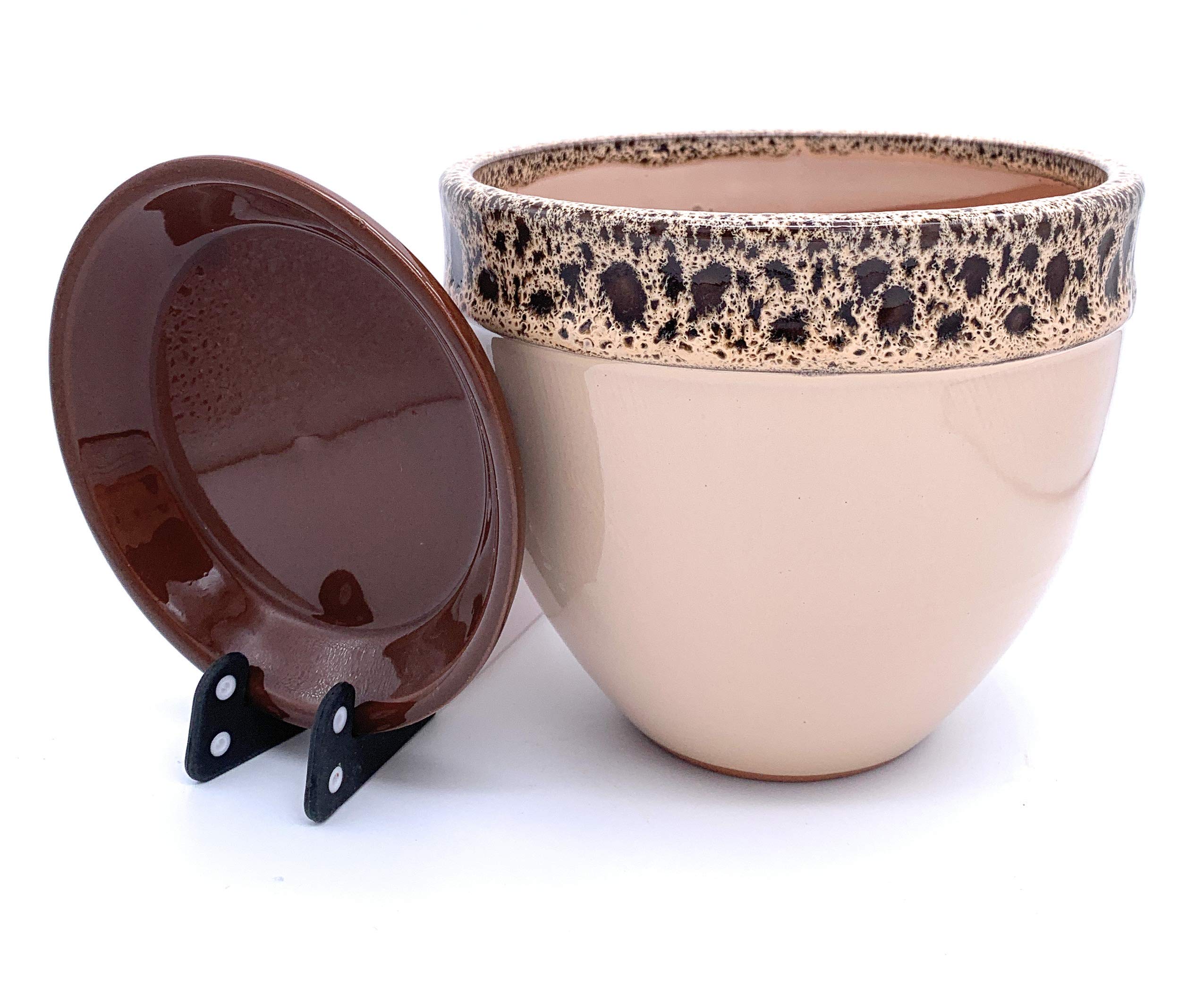Sun Cakes Glazed Ceramic Plant Pot with Saucer Orchid/Succulent Flower Pot Bella (26cm x 22cm, Orange)