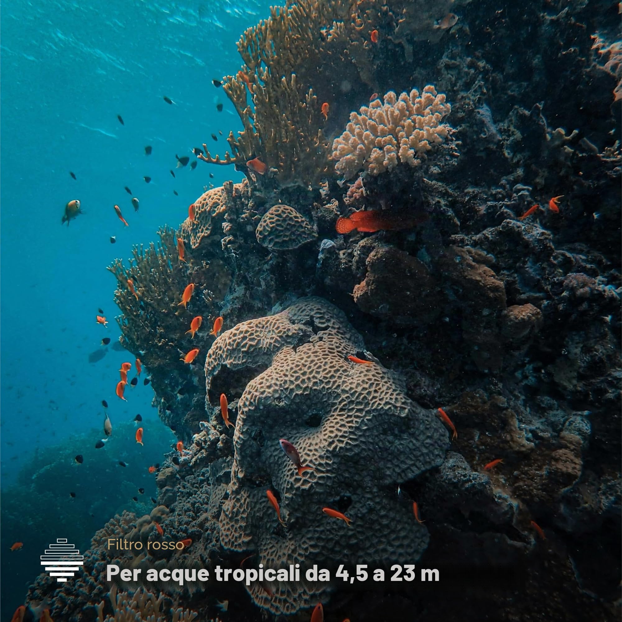 PolarPro - DiveMaster - per HERO 9/10/11/12/13 Black - Custodia protettiva - Rapida e sicura - Cattura colori vivaci in acque blu, verdi e poco profonde - immersioni