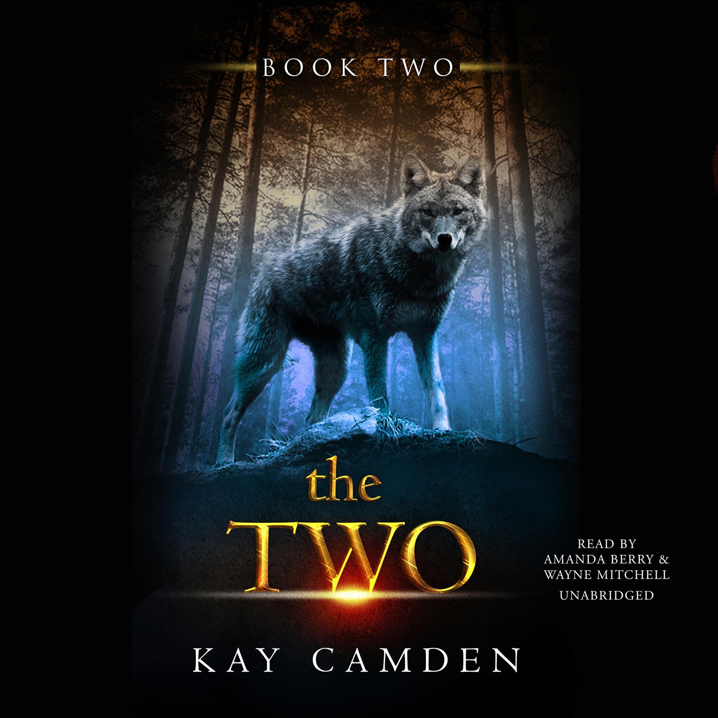 Cover art for The Two