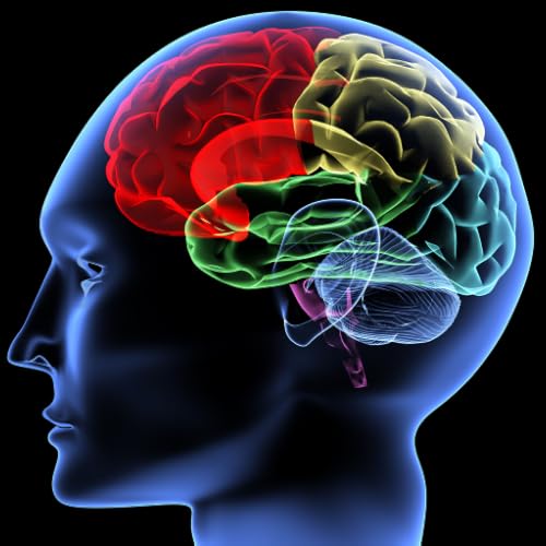 Feeling Good: The New Mood Therapy by David D. Burns, The Quick Depression Recovery Program Do not c - //medicalbooks.filipinodoctors.org