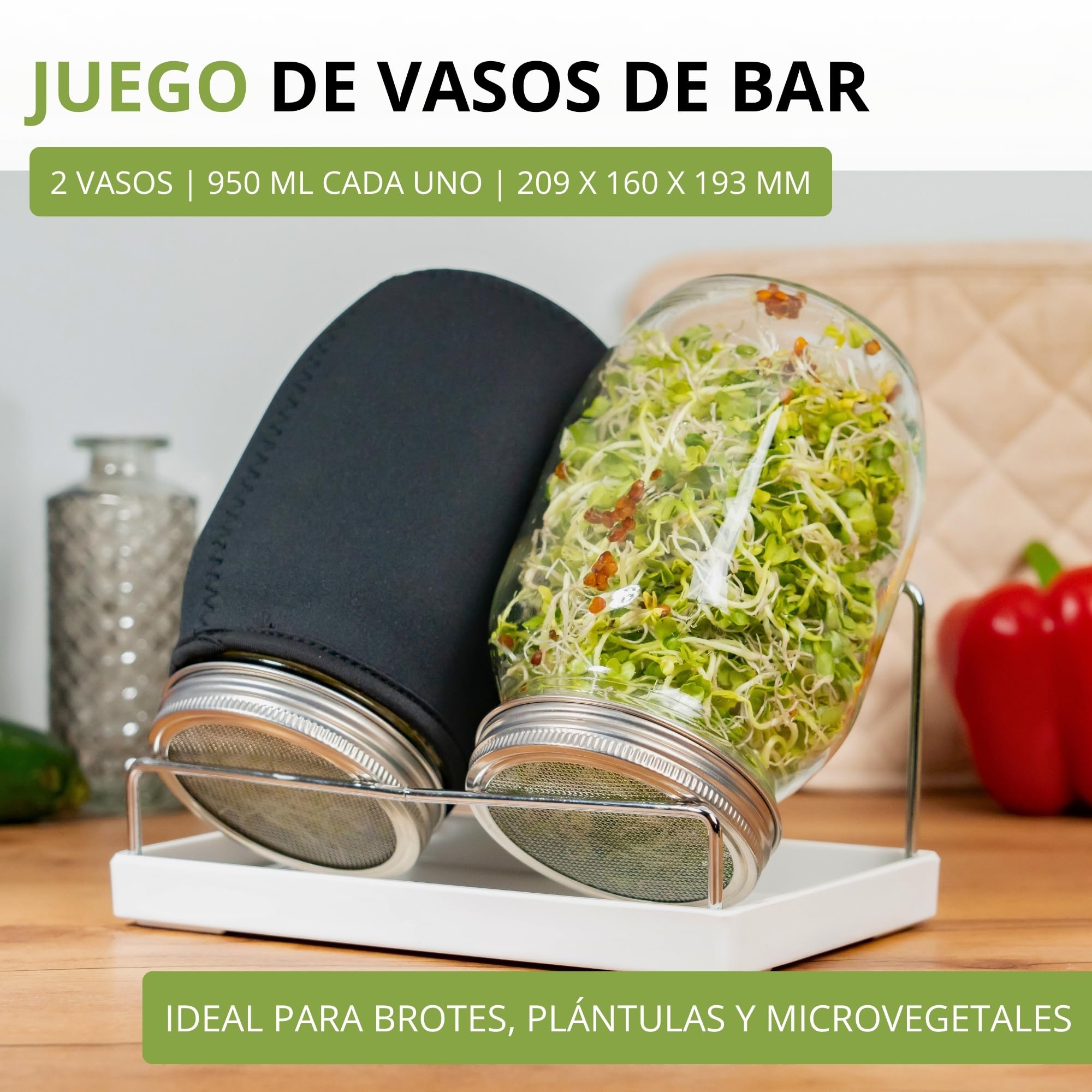 Westmark Juego de 2 tarros de germinación con Tapa de colador de Acero Inoxidable y escurridor, para brotes, microvegetales, 950 ml