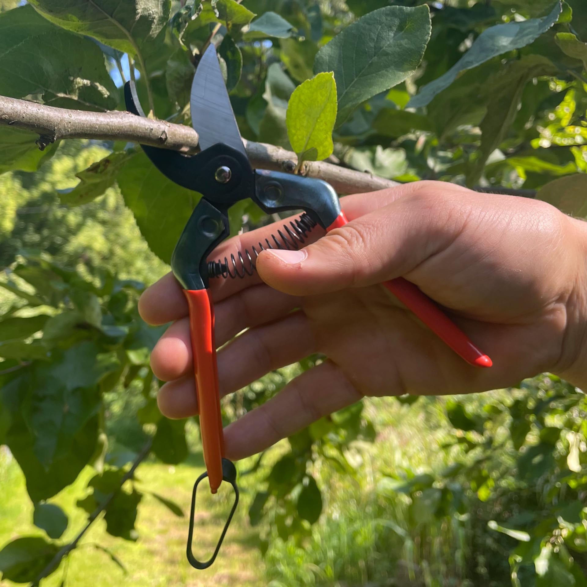 Amazon | 三陽金属 ザクト剪定鋏 ZS-190 190mm 取寄品 1225 | 園芸用はさみ