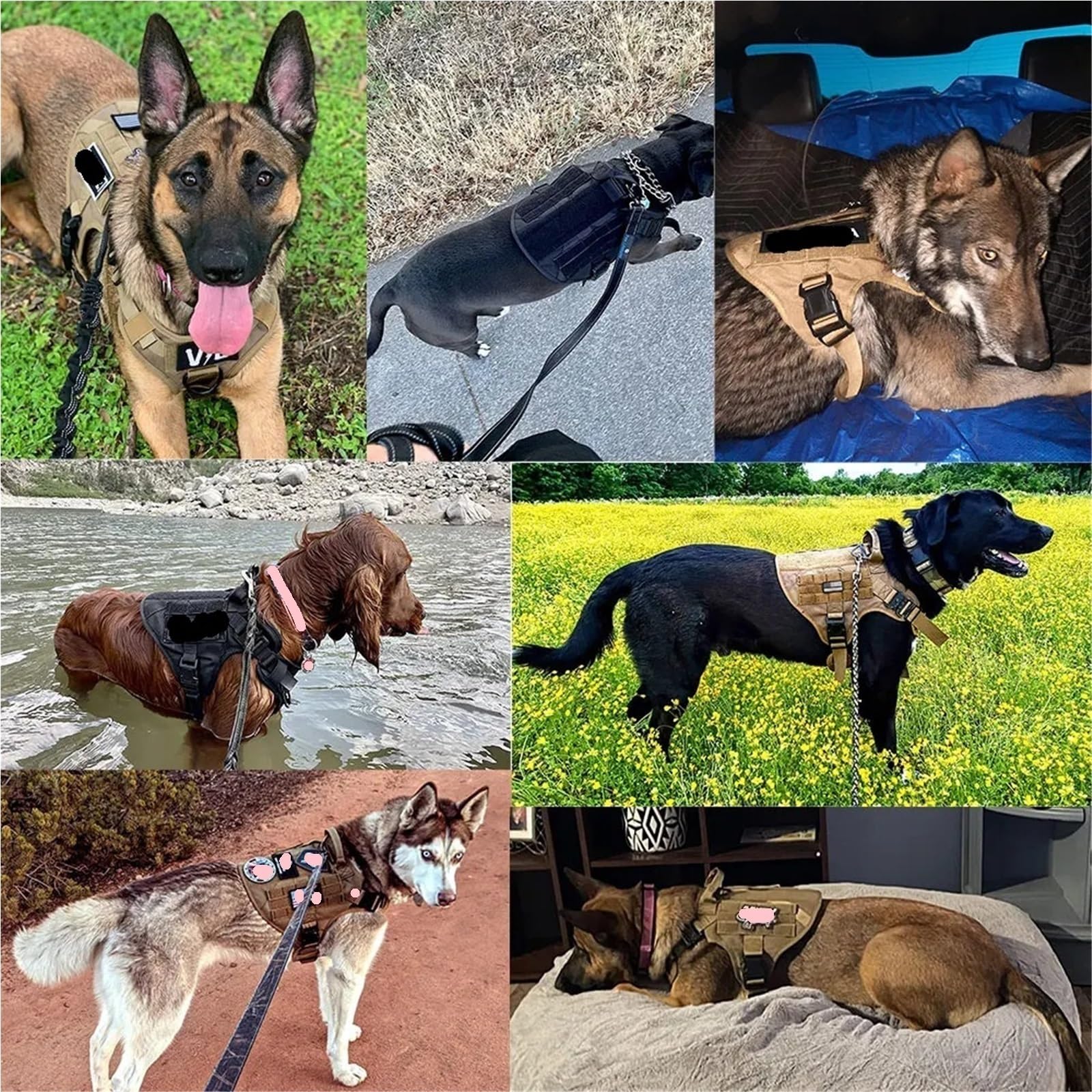 Zestaw uprzęży i smyczy dla dużych psów, kamizelka do wyprowadzania zwierząt domowych szelki i obroża dla średnich i dużych psów, regulowana (zielona, XL)