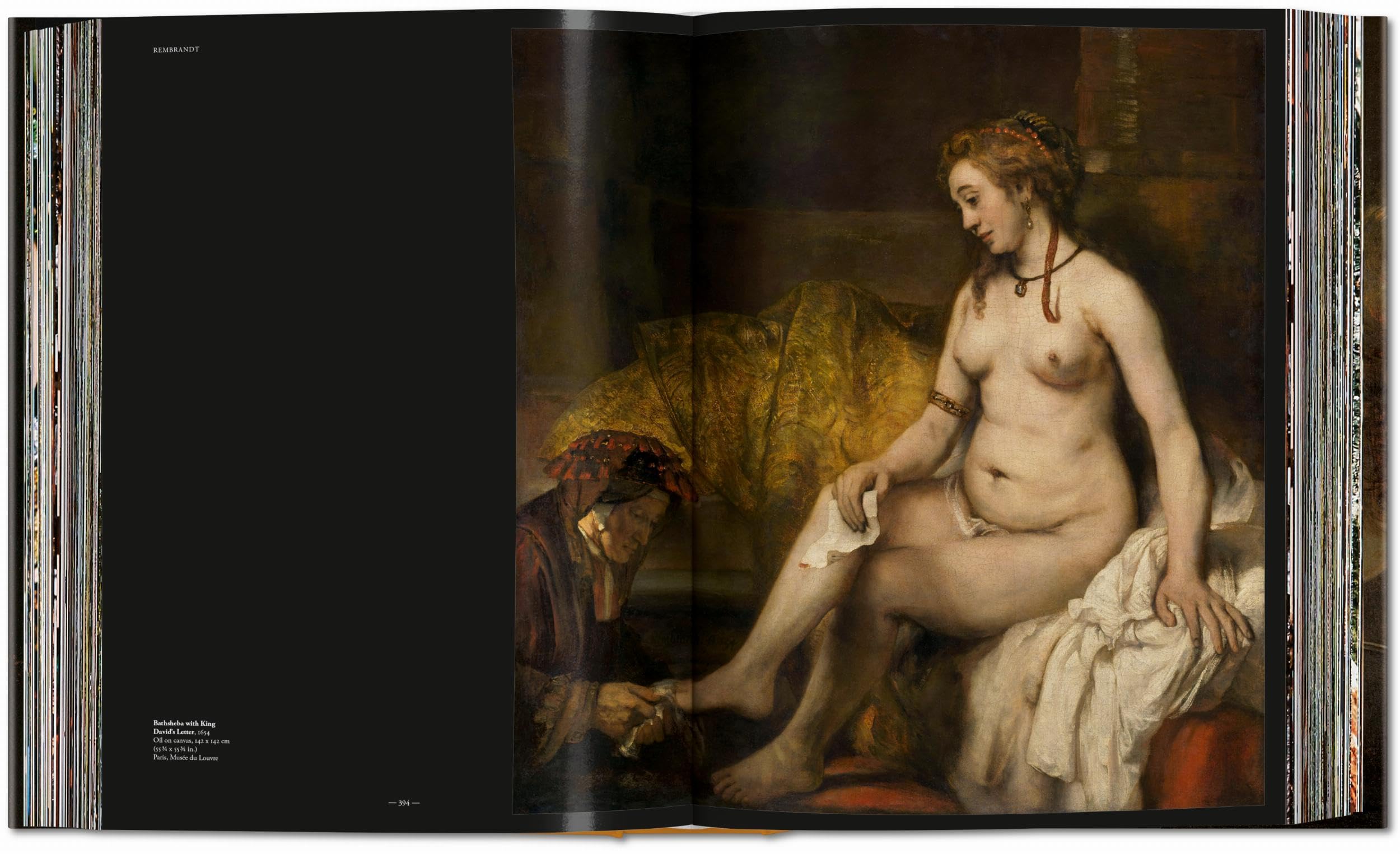 Rembrandt: The Complete Paintings (Fantastic Price)