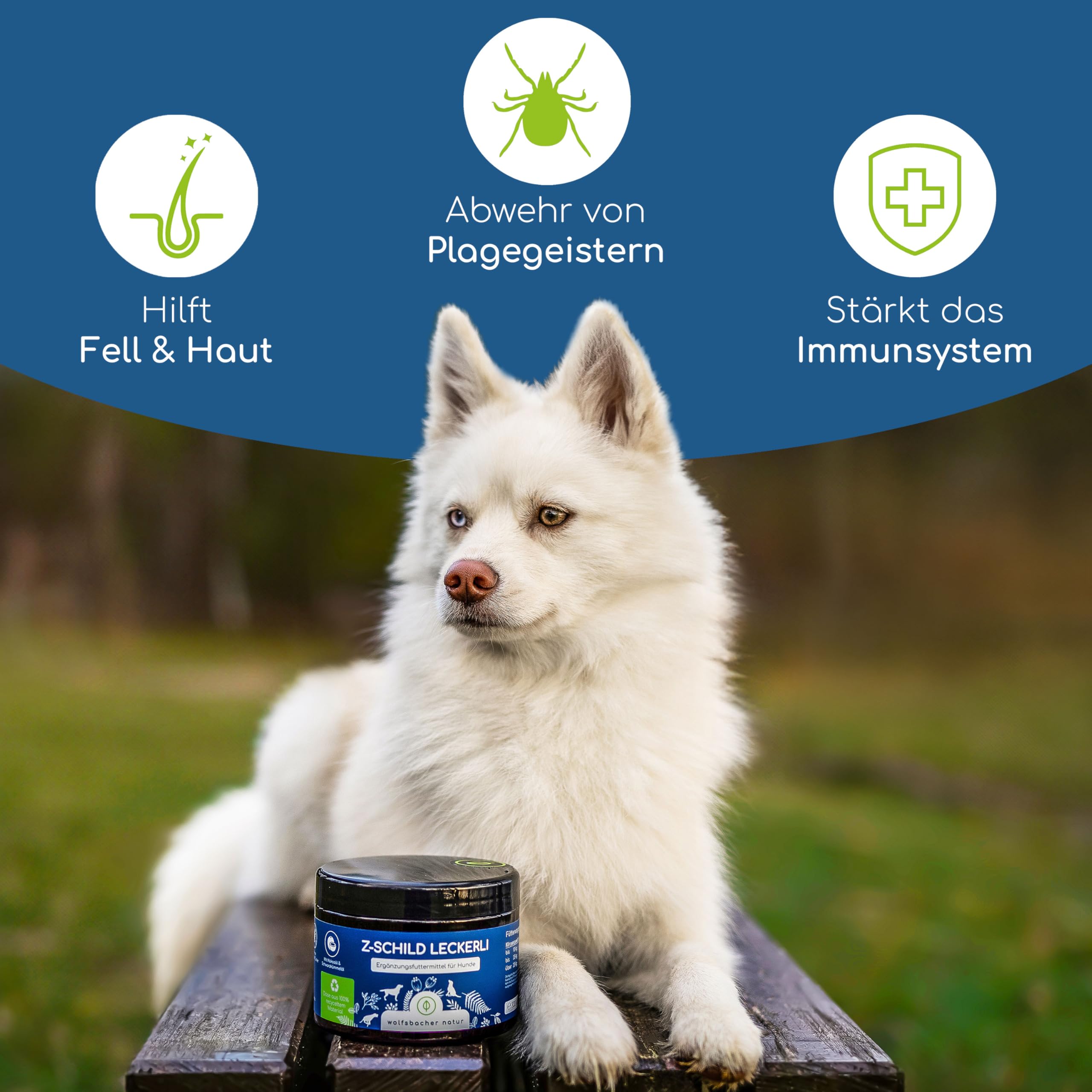 Z-Schild Snacks für Hunde – 140 Funktionssnacks für das Immunsystem – Mit Schwarzkümmelöl & Kokosöl für natürliche Abwehrkraft – Sicher durch die Saison (Packung mit 2)