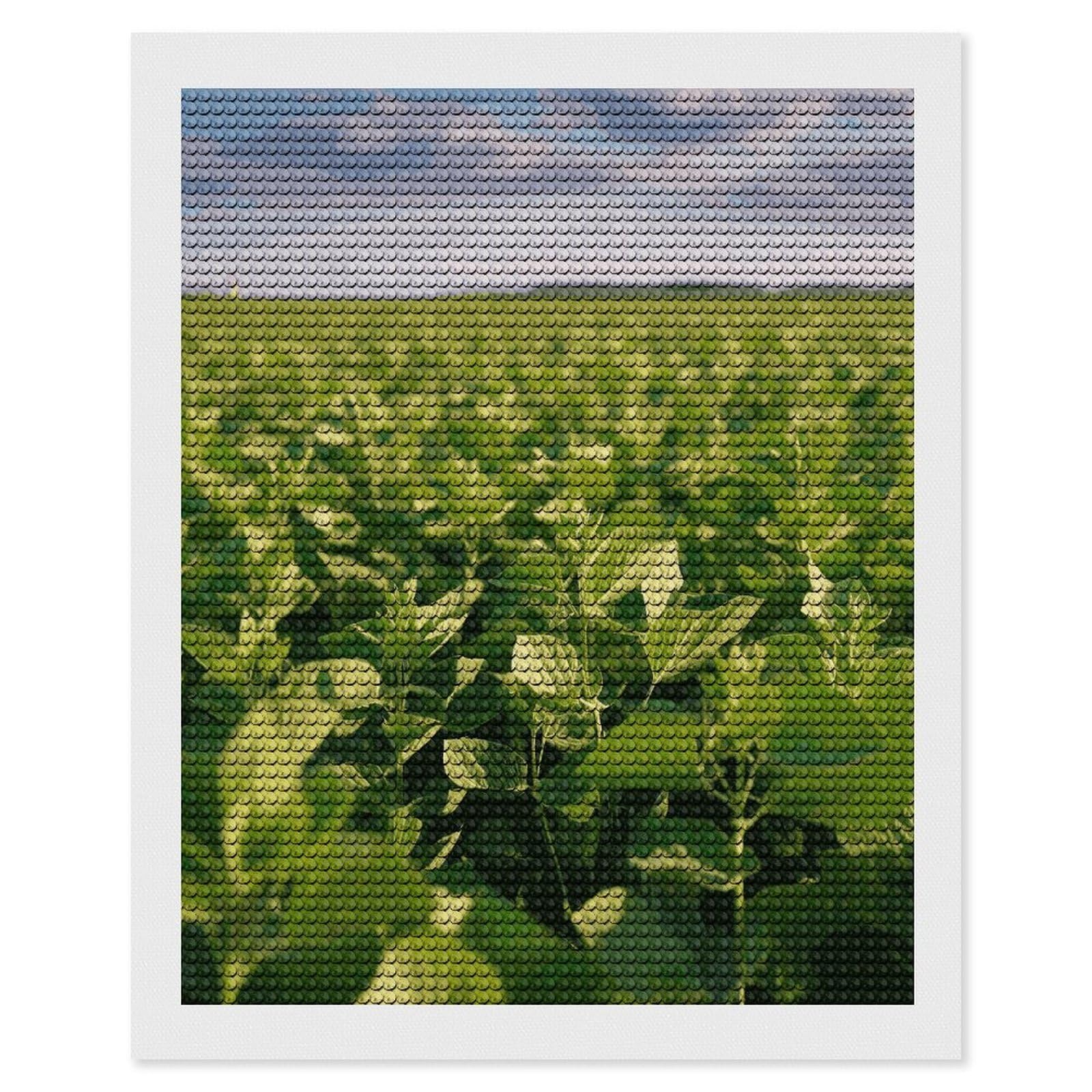 LDGSUPH Soybean Field Diamond Painting Kits for Adults Paint with Diamond Pictures Art DIY Full Drill Diamond Dots Painting Personalized Diamond Photo for Home Wall Decor Gift 16"x20"