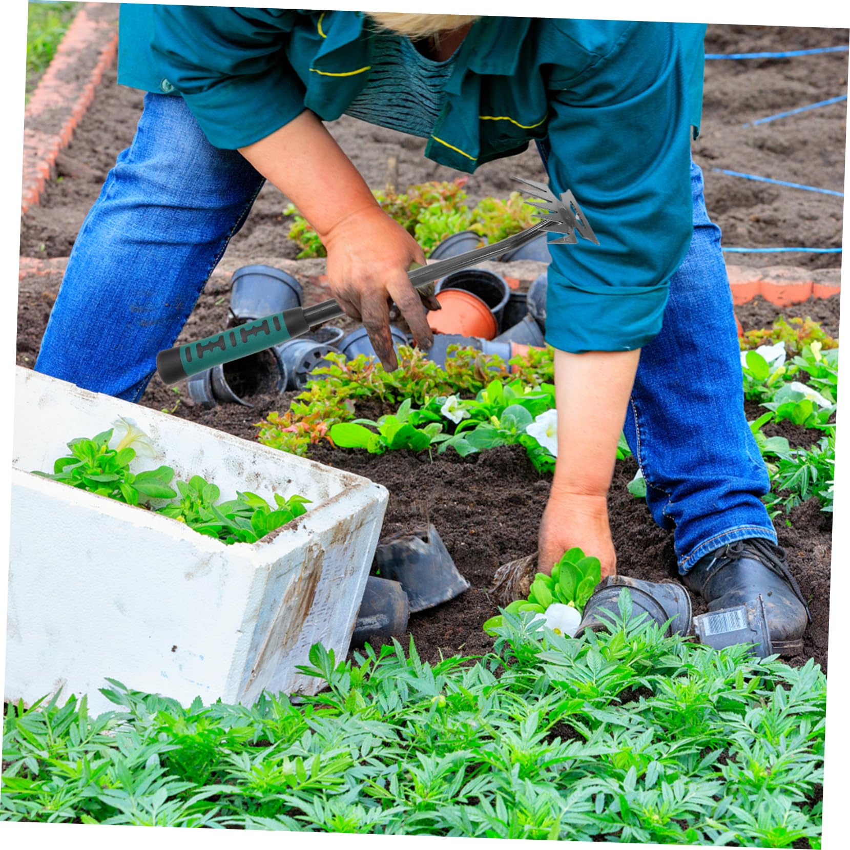 HEMOTON 5 Stück Unkrautjätgeräte für den Garten Gras Pflanzwerkzeug Rasenwerkzeuge Ziehwerkzeug Jäter unkrautvernichter gartenzubehör Jäten Werkzeug wieder eine feste Hand Stahl