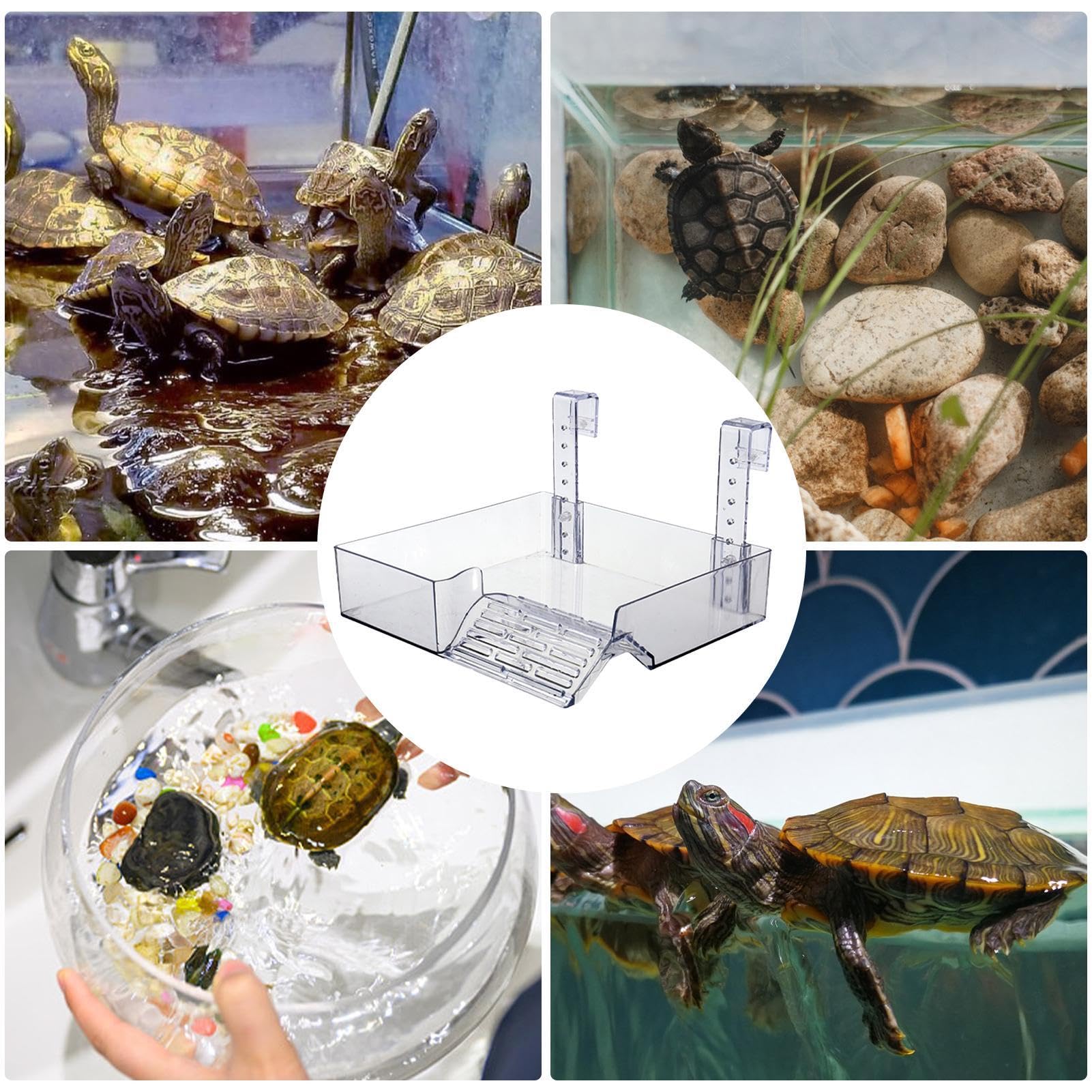 Rampa galleggiante per tartarughe, nascondiglio per rettili, piattaforma per tartarughe con nascondiglio, rampa galleggiante per tartarughe acquatiche, nascondiglio per rettili, piattaforma per acquar