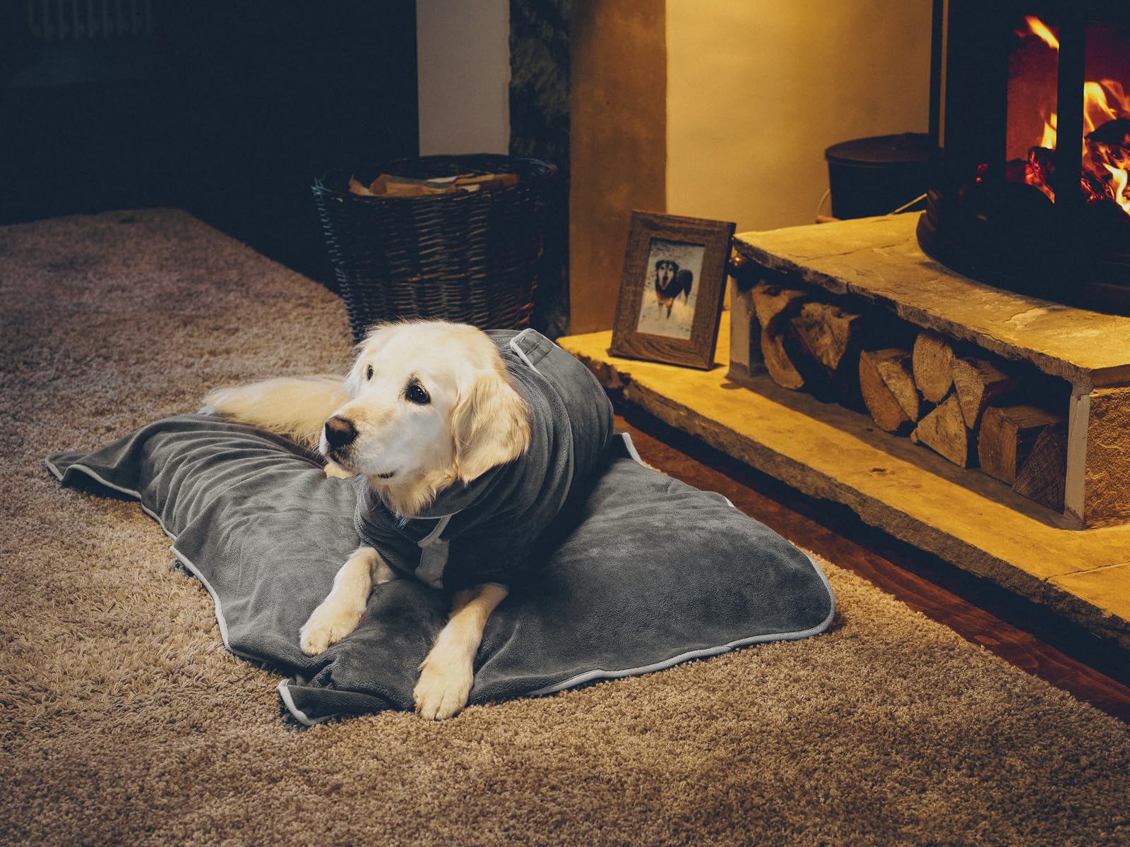 Lucky Paws® Serviette Chien Super Absorbante – Serviette pour Chien Ultra Douce, Luxueuse et Épaisse 140x80cm, Serviettes en Microfibre Artisanales et Faites Main pour Chiens (Lot de 2, Gris)