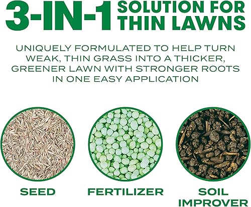 Miniatura 9 de Scotts Turf Builder Thick'R - Mezcla de festuca alta para césped, semillas combinadas, fertilizantes y mejoradores del suelo, espesa el césped