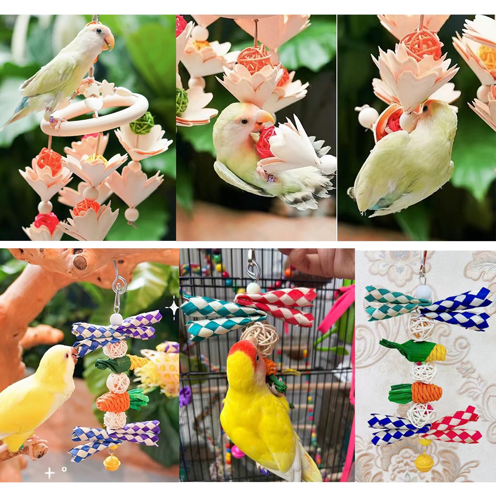 【専用】未使用　コンコンブル　インコ雛　セキセイ　オカメ　セット デコレ ひな祭り 2019 インコ雛セット コンコンブル 新作 ZMM-59187