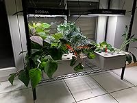 Review Image by K. Peeples K. Peeples