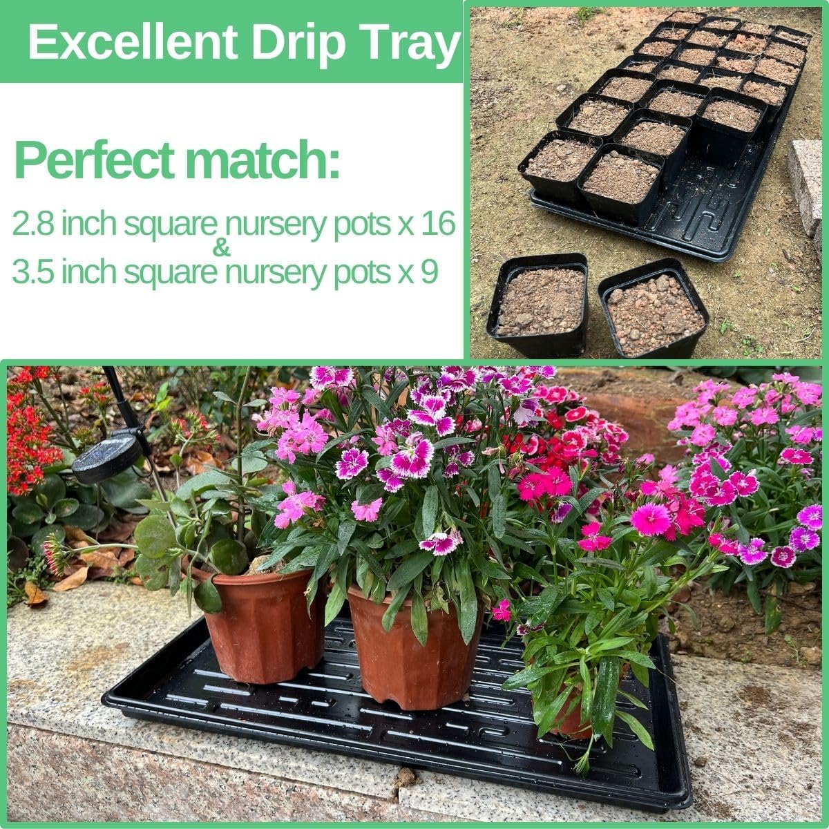 Shallow 1020 Nursery Flat Trays -10 Pack, 1.8" Height, Specialized for Holding 72-Cell Plug Seedling Trays, No Holes, Ideal for Seed Starting and Planting - Image 5