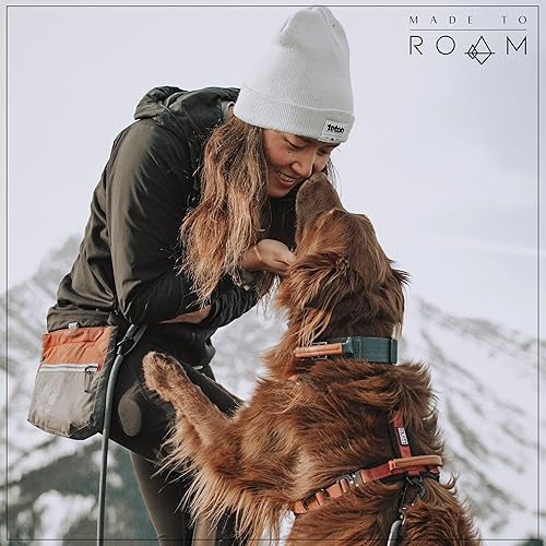 Miniatura 7 de MADE TO ROAM Correa de alta calidad para todos los días, correa ultra suave para perro con mosquetón de aluminio de aviación para perros pequeños,