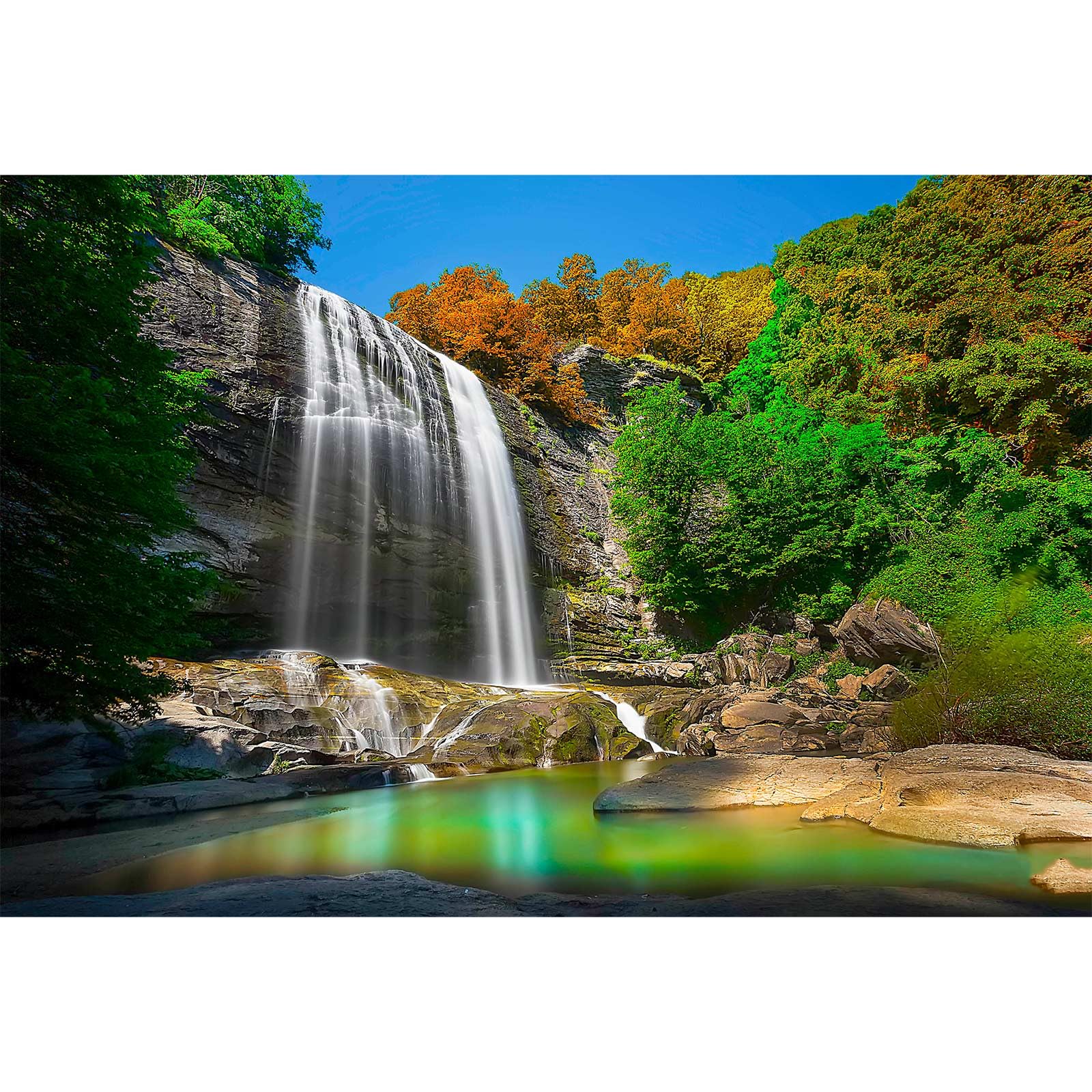 Waterfall Aquarium Background Natural Jungle Rainforest Landscape Terrarium Background Jungle Style Tranquil Stream Fish Tank Background Falls Forest Rocks Reptile Background Vinyl 72x24in