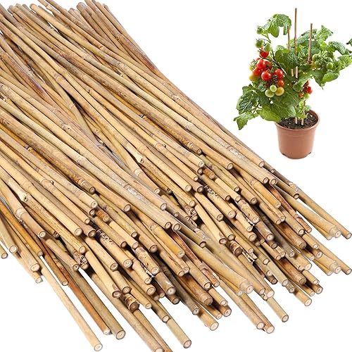 Suclain 100 estacas de bambú para plantas de jardín, estacas de soporte para plantas de jardín para interiores y exteriores, escalada para tomates,