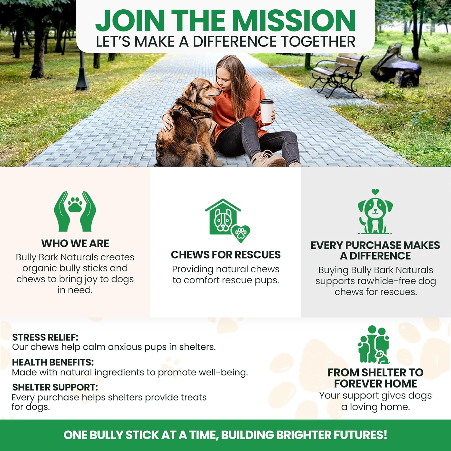 12” Odor Free Braided Bully Sticks for Dogs - 3 Count - 100% Natural Grass-Fed Beef Braided Dog Chews, High Protein, Fully Digestible & Rawhide Free, Long Lasting Bully Braids for All Breed Sizes