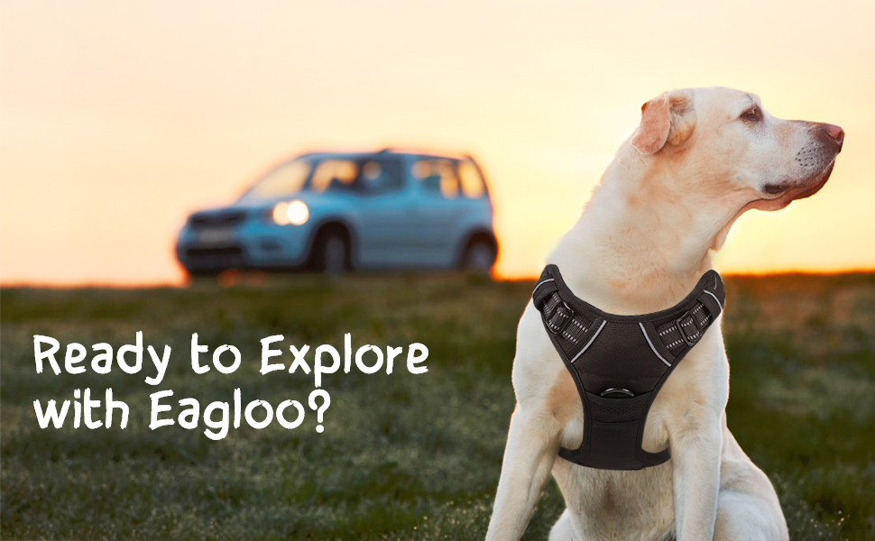 eagloo harness
