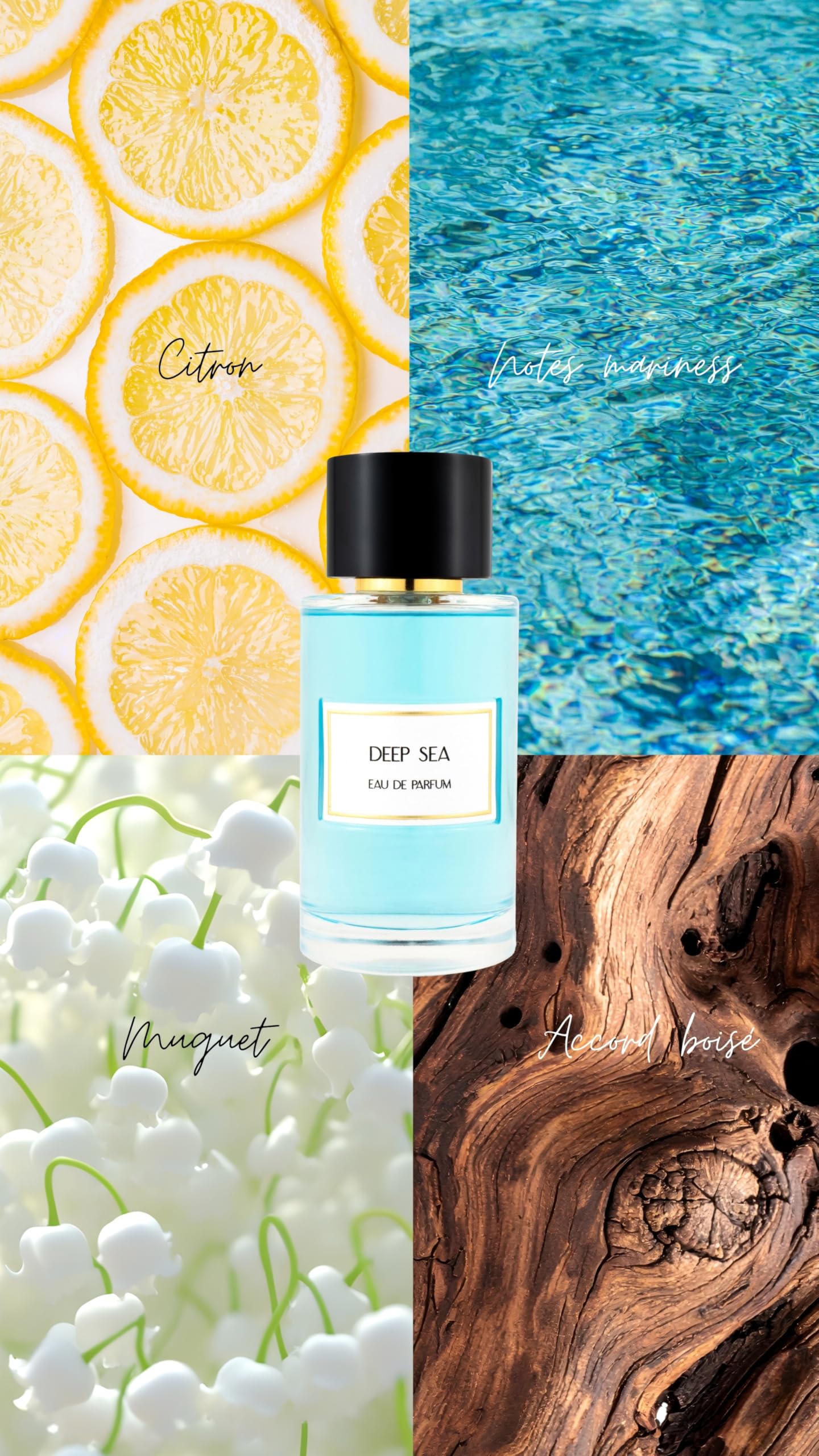 JEANNE ARTHES Private Collection – Deep Sea – Eau de Parfum Hombre – Leñoso & Acuático – Limón, Notas Marinas – Fabricado en Grasse – Botella de spray de 100 ml