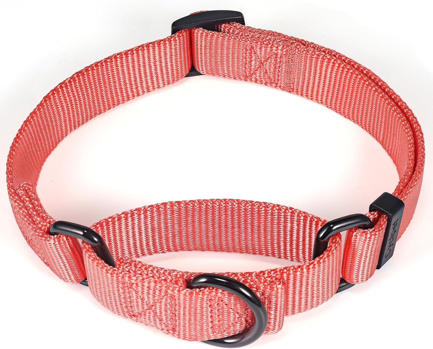 Premium Nylon Adjustable Anti-Escape Martingale Dog Collar,Soft,Silky Dog Collar with Heavy Duty Metal Hardware for Active Dogs Walking,Training. (Living Coral, Small)