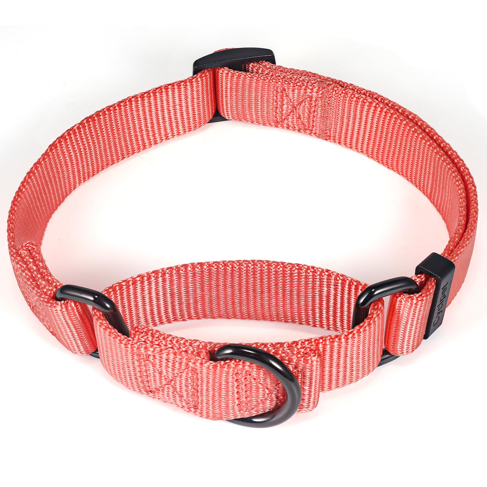 Cyclpet Premium Nylon Adjustable Anti-Escape Martintgale Dog Collars,Heavy Duty Metal Hardware for Medium Active Dogs Daily Walking,Training,etc... (