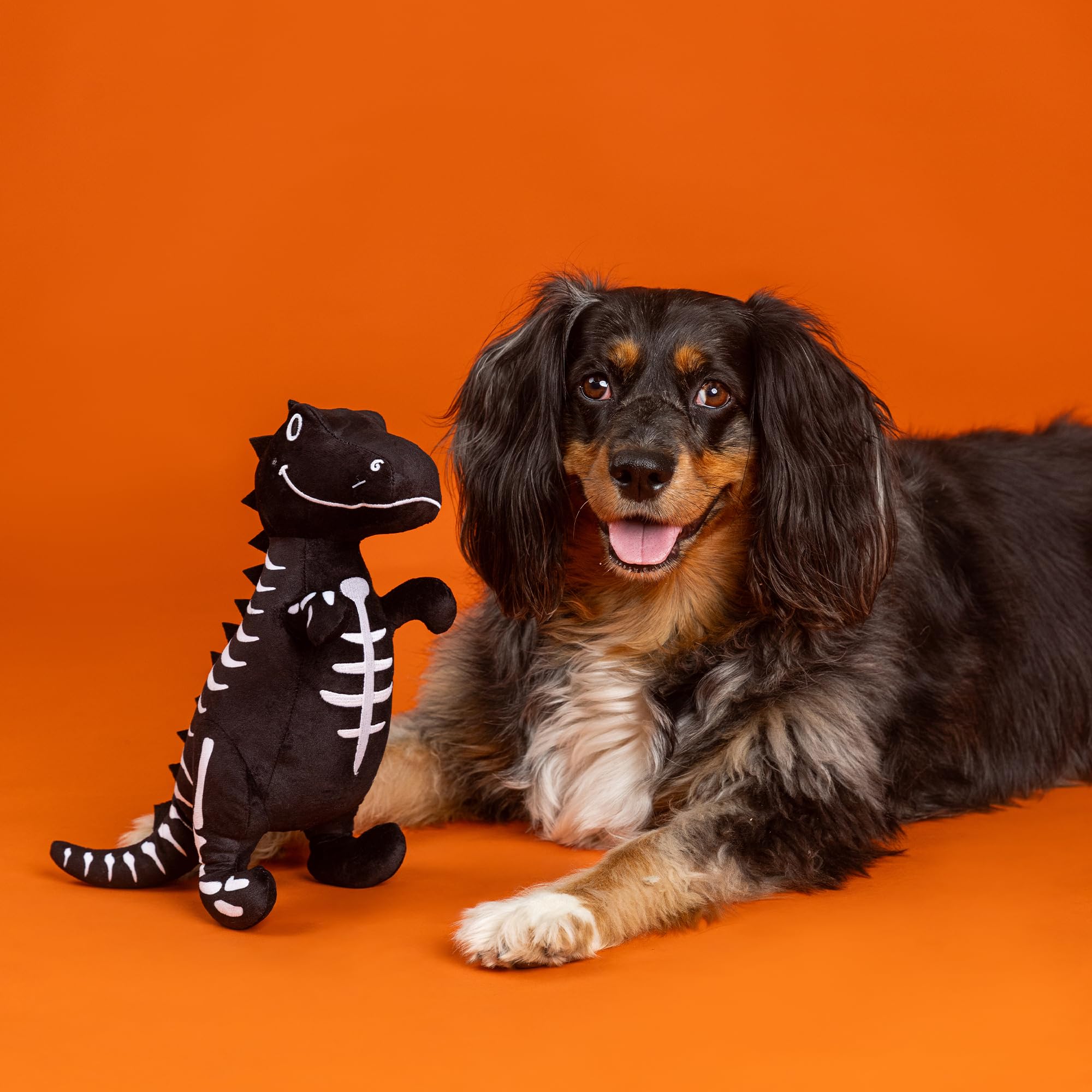 Fringe Studio Pet Toy Trick RAWR Treat Brilla en la Oscuridad, Juguete de Peluche para Perros, colección PetShop (314607)