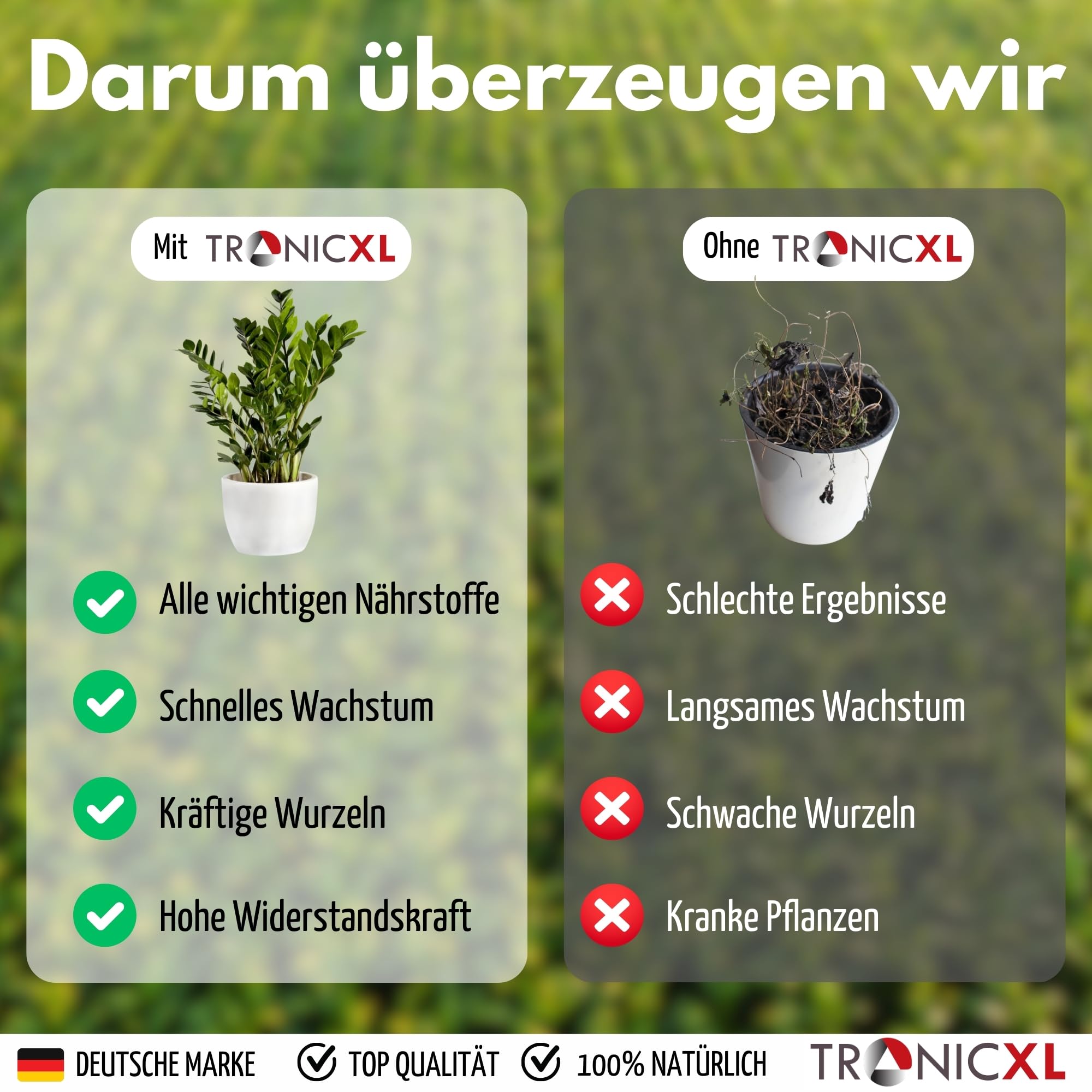 TronicXL Fertilizante líquido para plantas de interior, 5 L, fabricado en Alemania, universal, 5000 ml, 5 x 1 litro, abono para plantas de interior, abono para plantas verdes, crecimiento de hojas y
